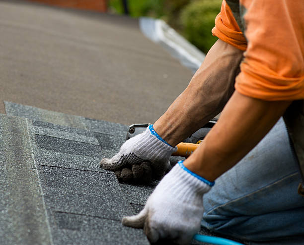 Roof Gutter Cleaning in Cutler Bay, FL